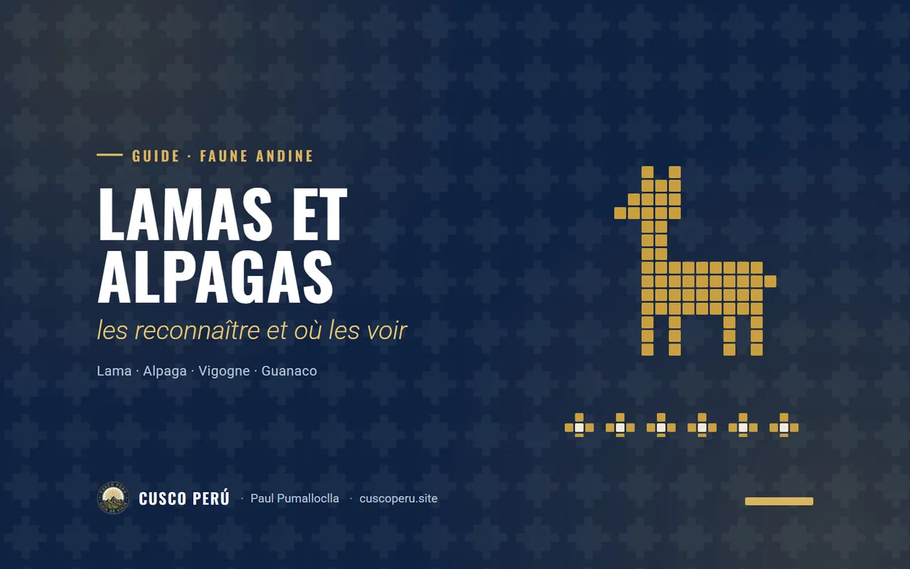 Lamas et alpagas: les reconnaître et où les voir. Lama · Alpaga · Vigogne · Guanaco