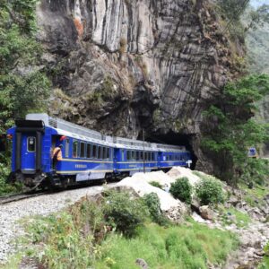 Vista panorámica de los Andes desde el interior del Tren Hiram Bingham.