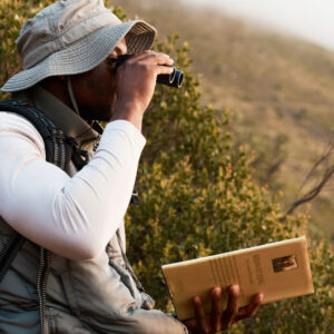 Especialista realizando observación de aves con binoculares en el bosque de Huayopata.