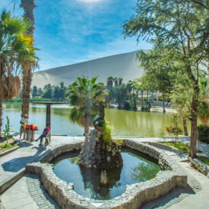 Panoramic view of the oasis and dunes on the Buggy Tour & Sandboarding in Huacachina.