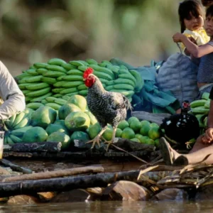 Sandoval Lake Program: 3 Days – 2 Nights (Tambopata)