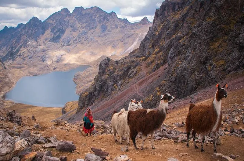 Lares Trek para Machu Picchu (4 Dias) 4