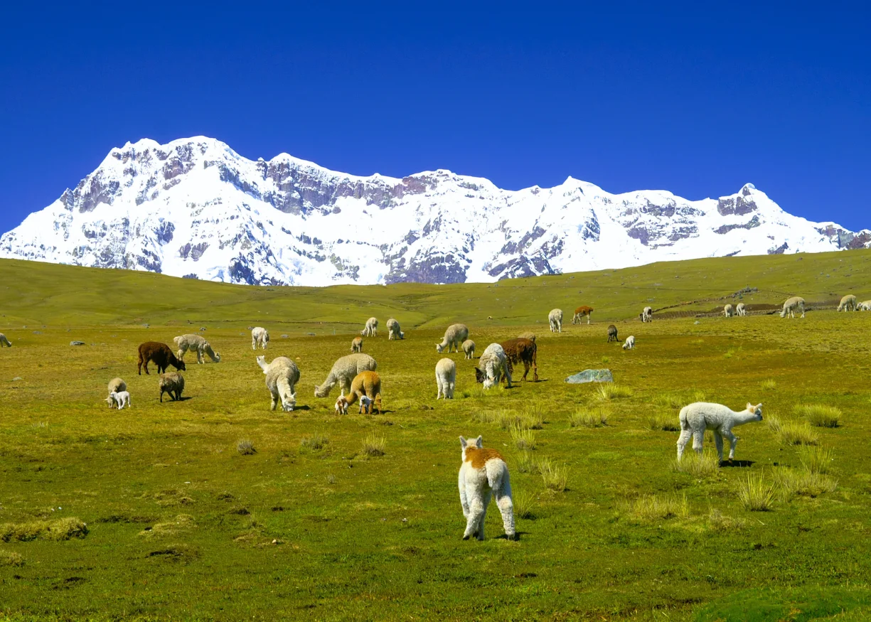 Ausangate 7 Lagoons Trek (Full Day) - Image 15
