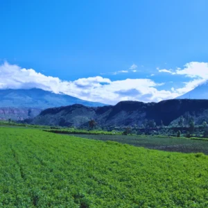 Living Colca (2 Days – 1 Night)