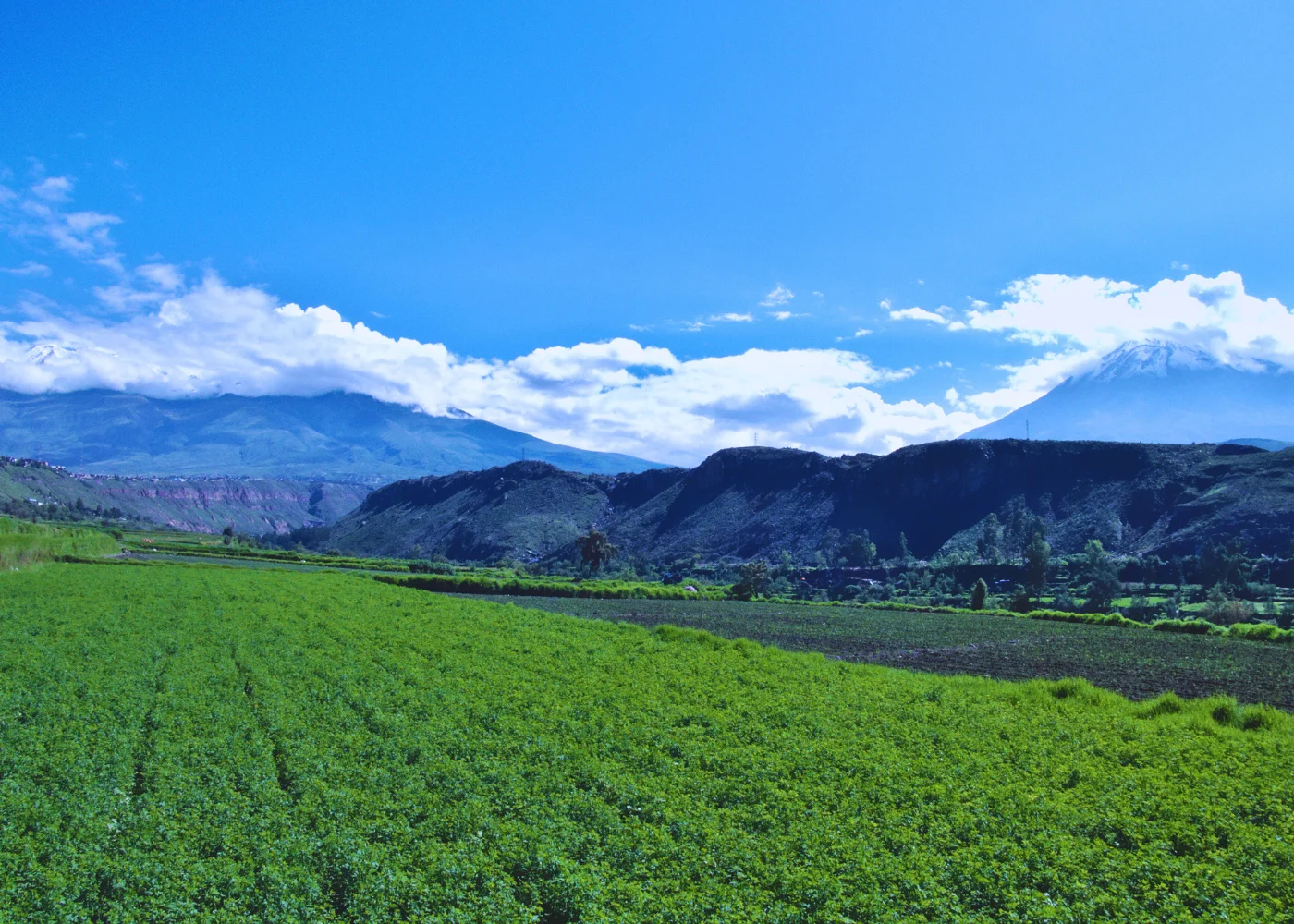Colca Vivencial (2 Dias – 1 Noite)