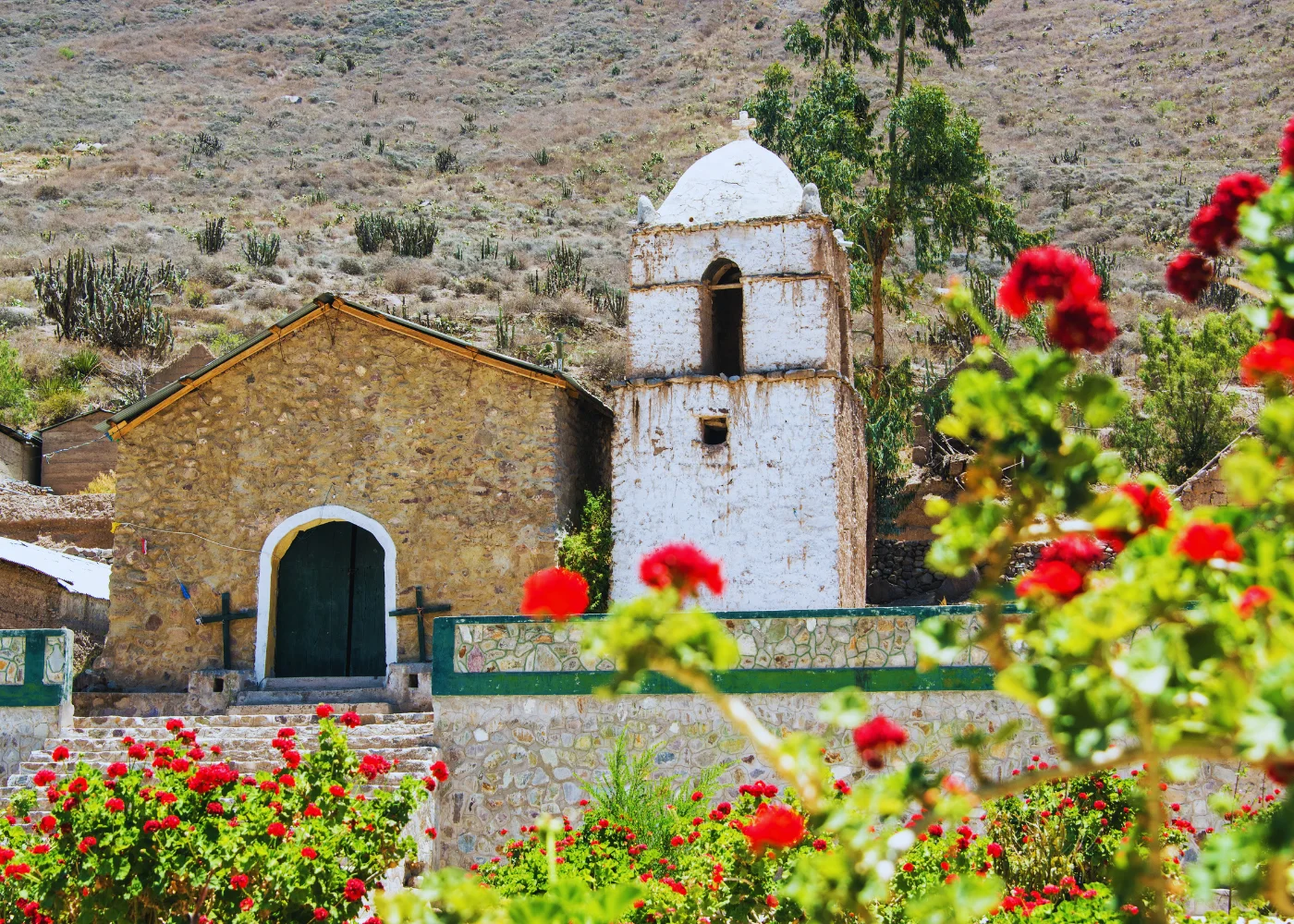 Cañón del Colca (Todo el Día) 2