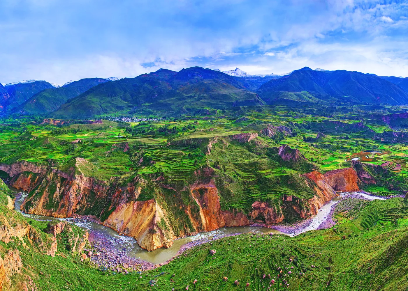 Cañón del Colca (Todo el Día)