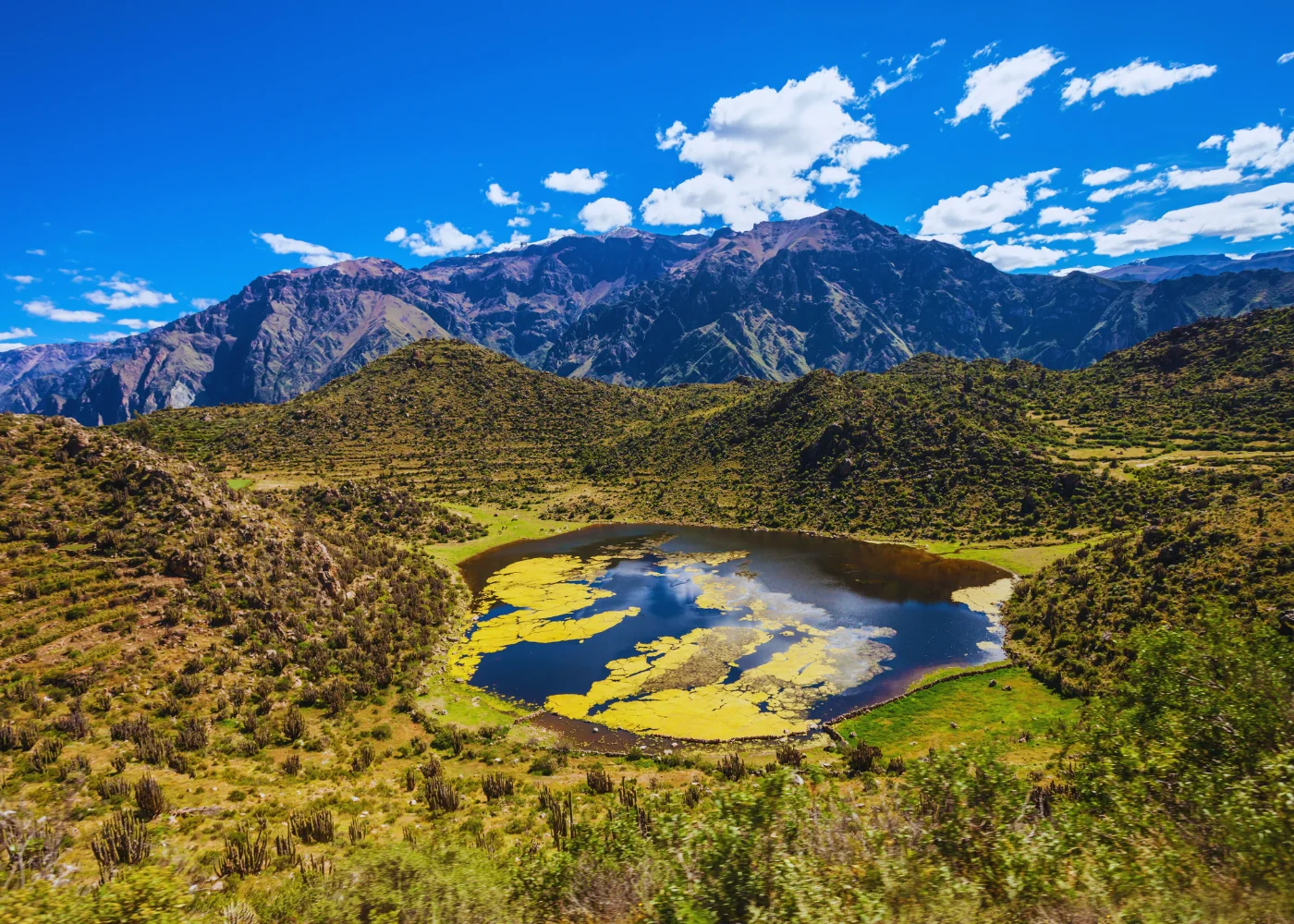 Colca Vivencial (2 Dias – 1 Noite) 4