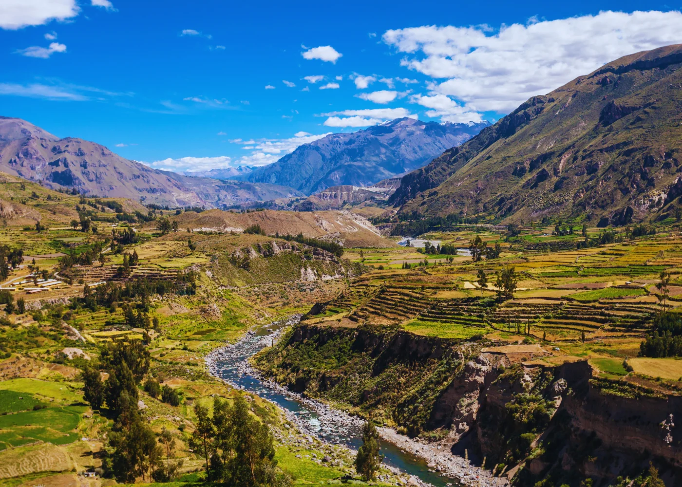 Cañón del Colca (Todo el Día) 5