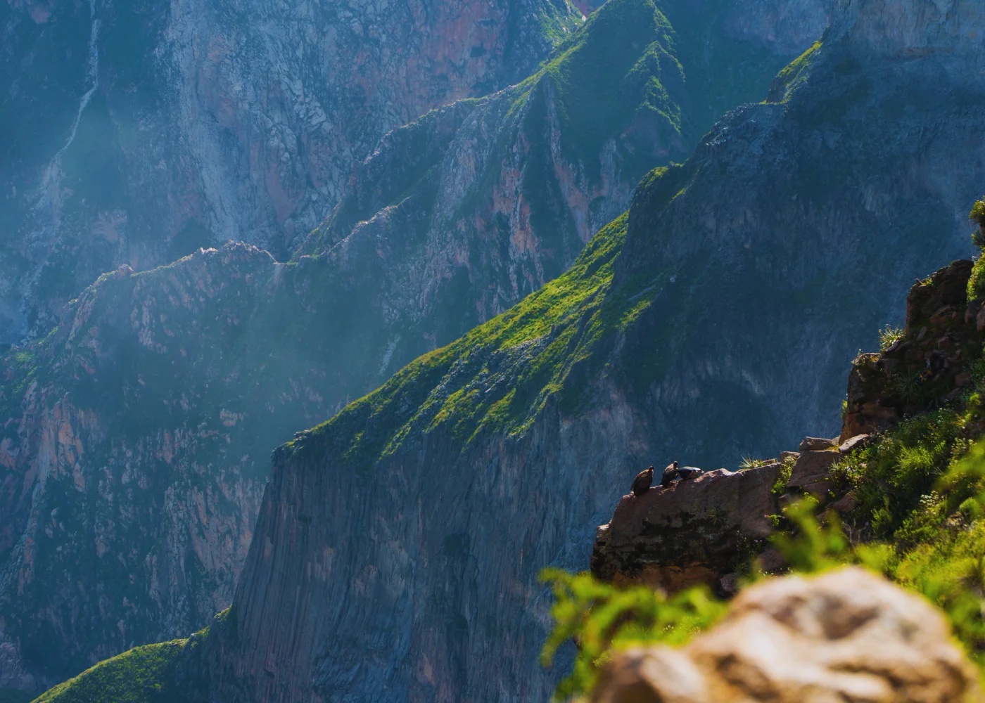 Cañón del Colca (Todo el Día) 4