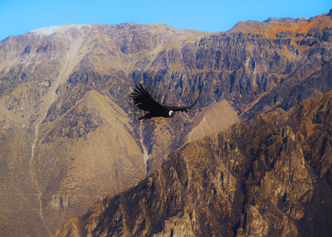 Colca Vivencial (2 Dias – 1 Noite) 2