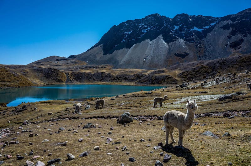 Ausangate 7 Lagoons Trek (Full Day) - Image 20