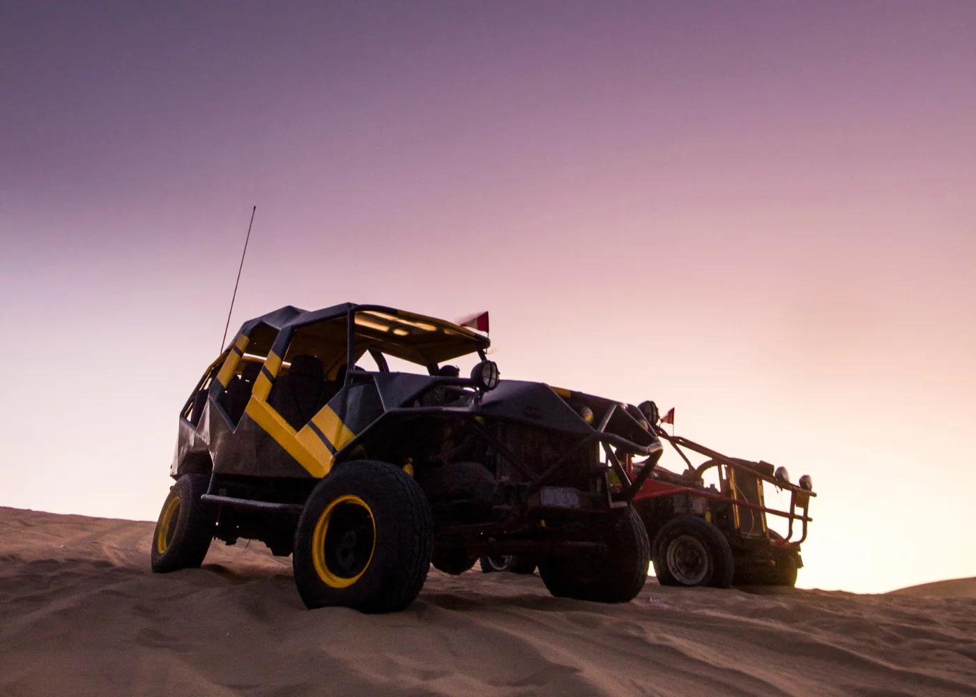 Ica: Paracas + Ballestas Islands + Huacachina 5