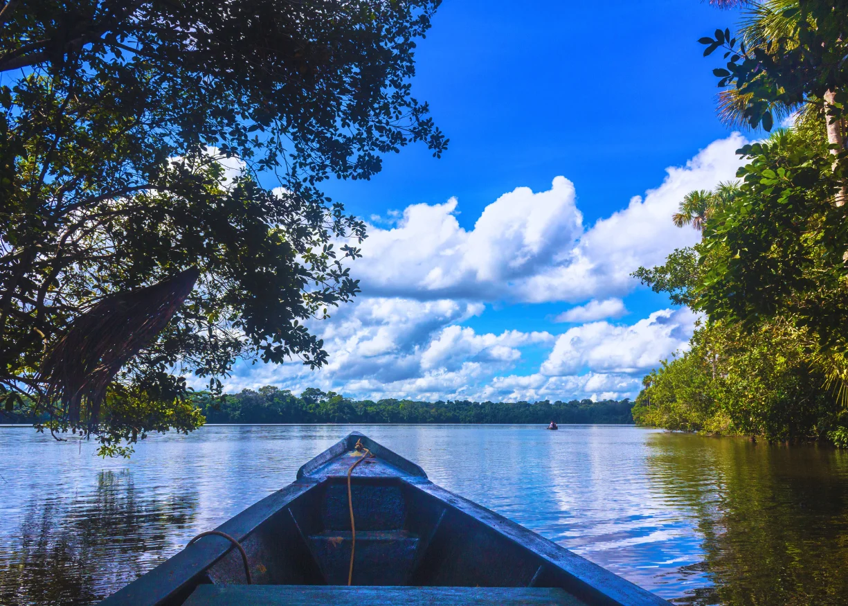 Caiman Program: 2 Days – 1 Night (Tambopata) 2