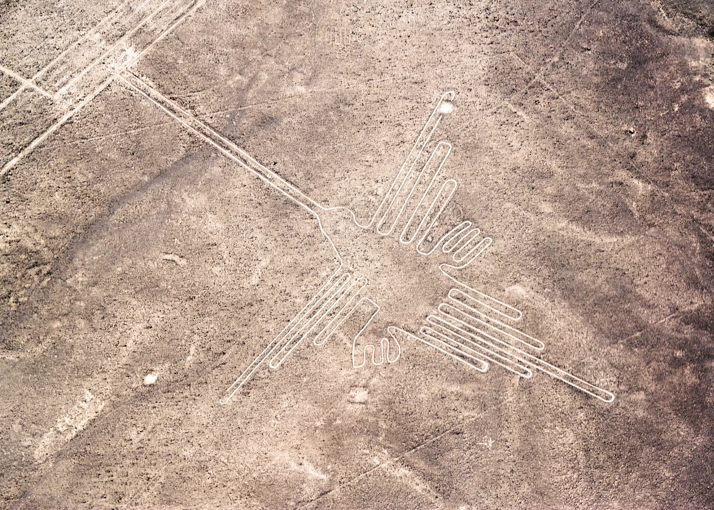 Sobrevoo Linhas de Nazca (Dia Inteiro) 3