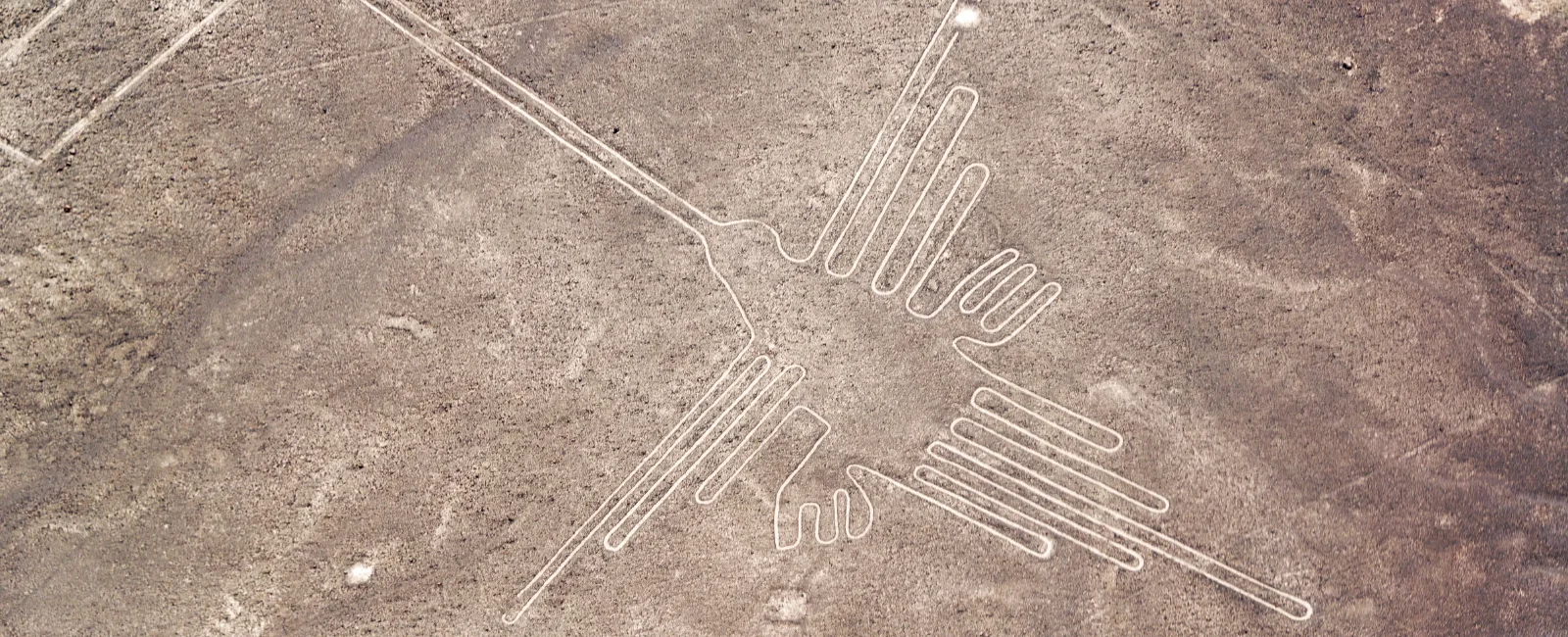 Ica, Paracas e Nazca desde Lima (2 Dias 1 Noite)
