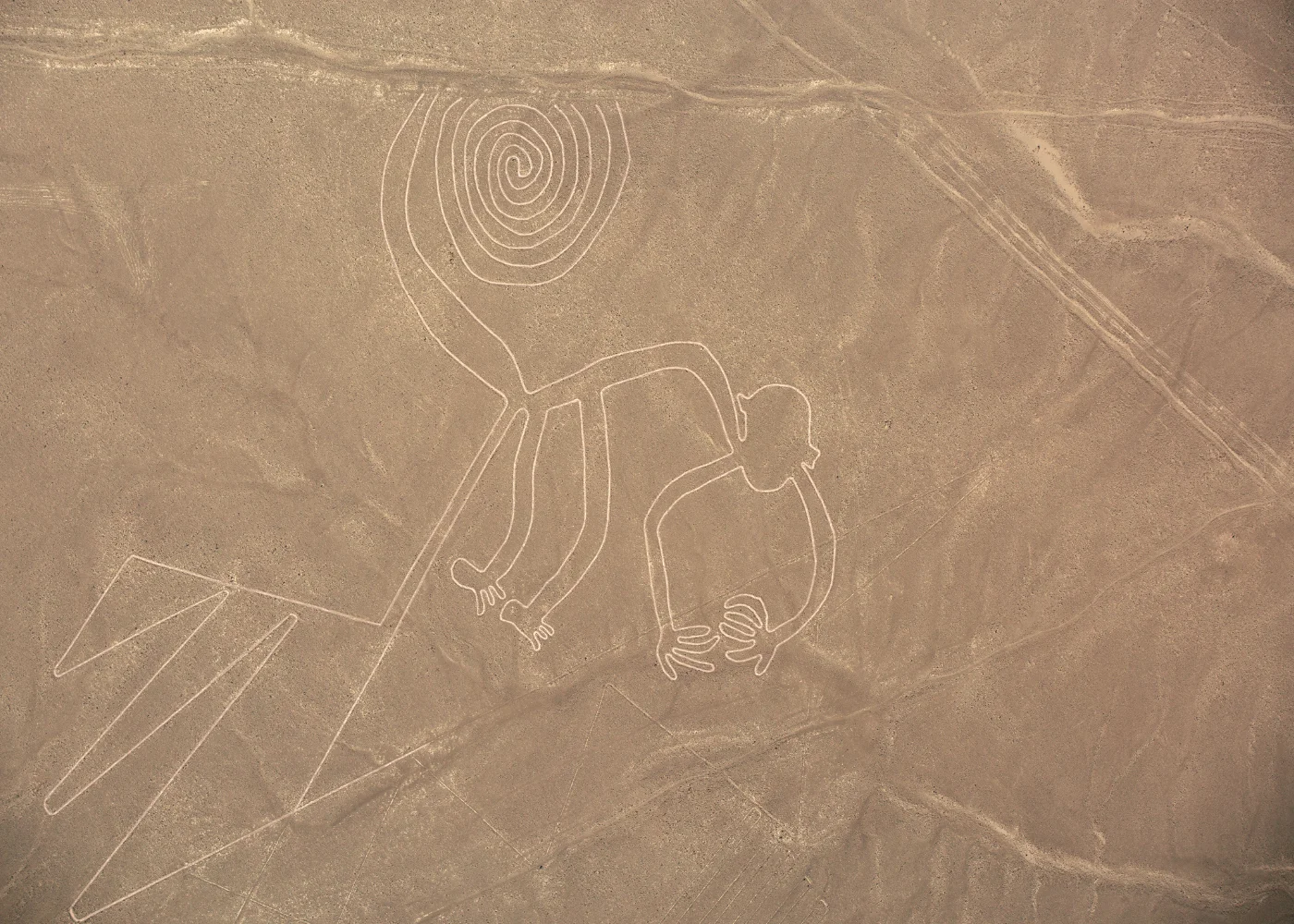 Ica, Paracas e Nazca desde Lima (2 Dias 1 Noite) 5