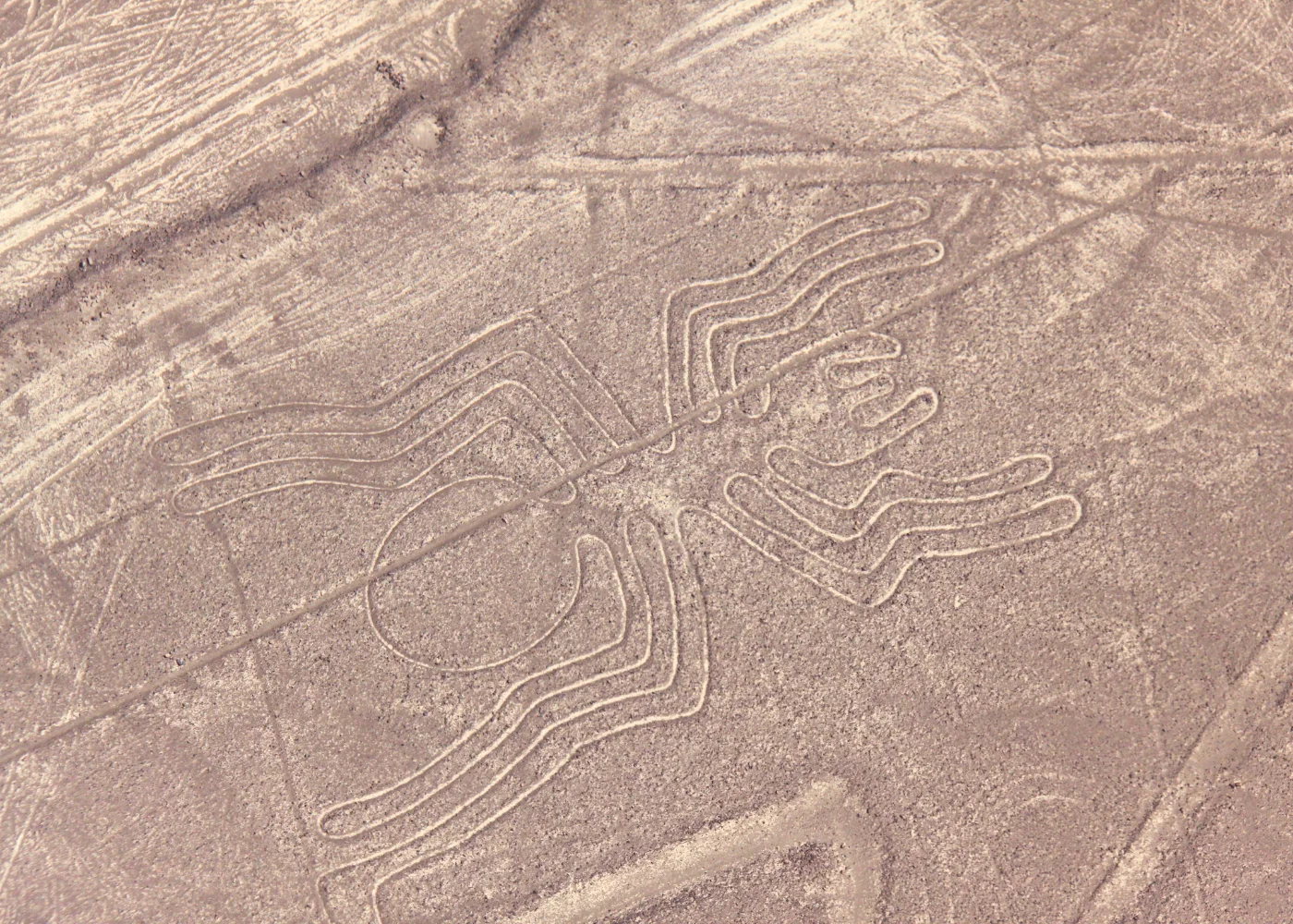 Ica, Paracas e Nazca desde Lima (2 Dias 1 Noite) 4