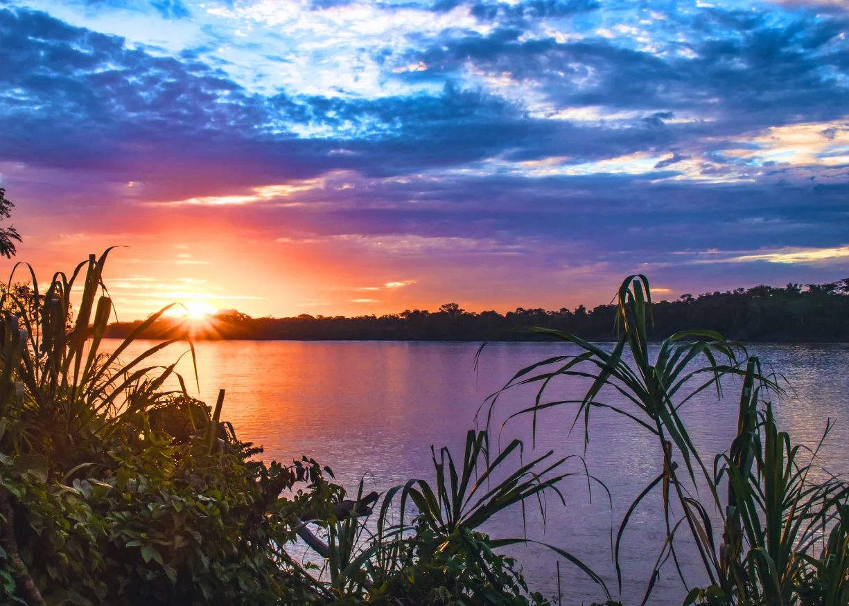 Sandoval Lake Program: 3 Days – 2 Nights (Tambopata) 4