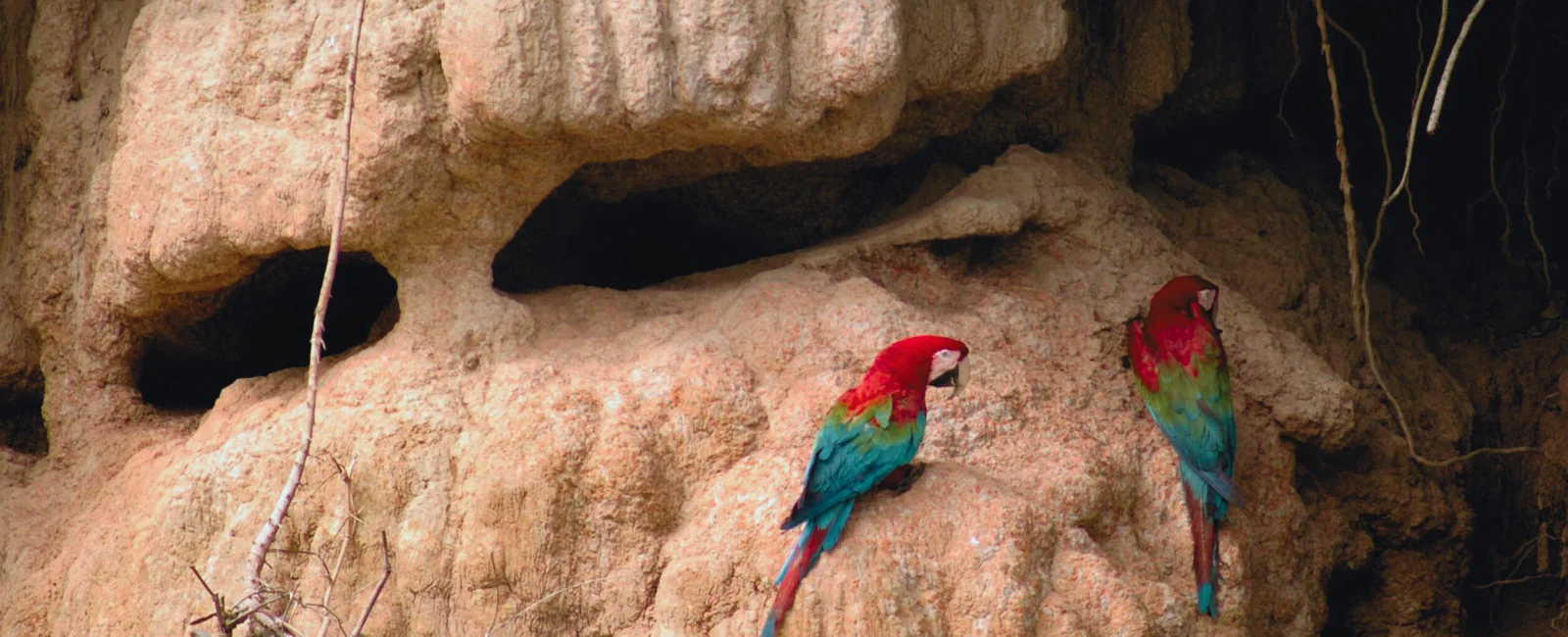 Taricaya Ecological Reserve Tour (5 Days)