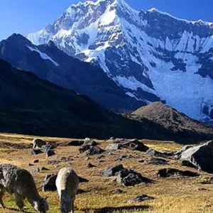 Ausangate 7 Lagoons Trek (Full Day)