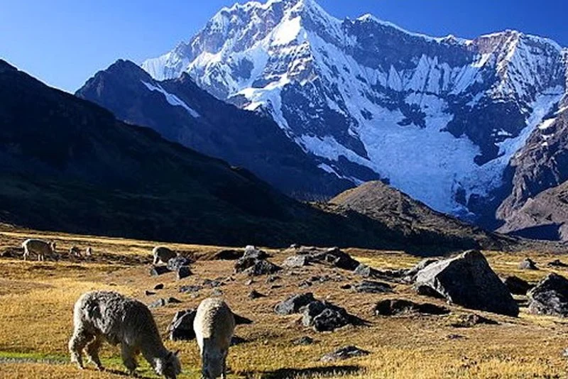 Ausangate Trek (5 Days) 4