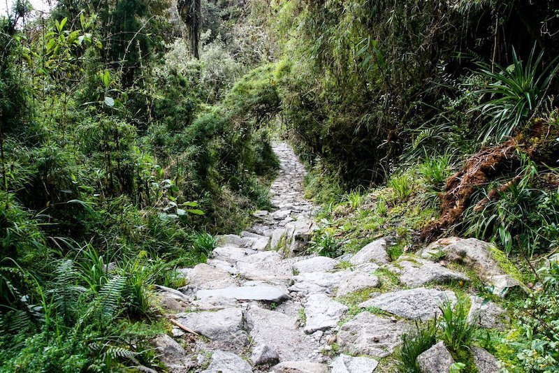 Caminho Inca Curto para Machu Picchu (2 Dias) 5